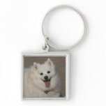 Image112a Keychains