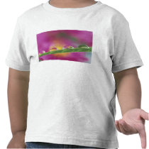 Image of asters formed in water droplets shirt
