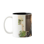 Images cup mugs