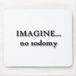 IMAGINE... no sodomy
