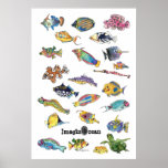 ImaginOcean Cartoon Fish Art posters
