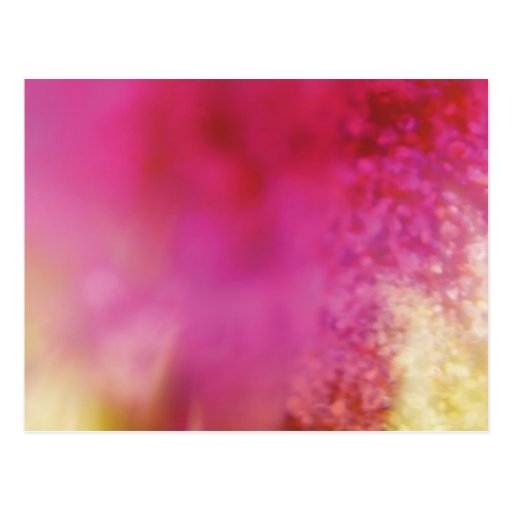 IMESAPU No. 0038 Postcards