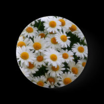 IMG_0066  Daisy Lovers buttons