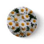 IMG_0066  Daisy Lovers buttons