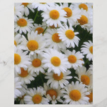 IMG_0066  Daisy Lovers Full Color Flyer