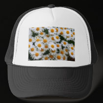 IMG_0066  Daisy Lovers hats