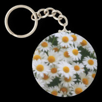 IMG_0066  Daisy Lovers keychains
