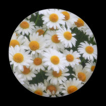 IMG_0066  Daisy Lovers magnets