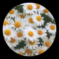 IMG_0066  Daisy Lovers stickers