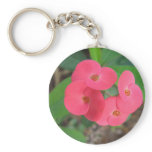 IMG_0088 keychains