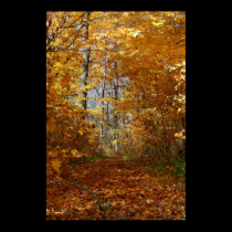IMG_0152   Fall Comes To The Hollow posters