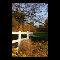 IMG_0173  Hawthorn Hollow In Fall posters