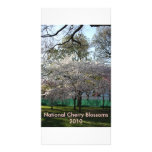 IMG_0182, National Cherry Blossoms2010 Customized Photo Card