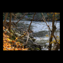 IMG_0222, Pikes Creek In Fall posters
