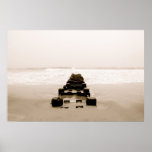 IMG_0639 PRINT
