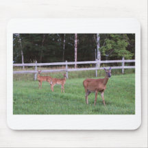 IMG_0751_1 MOUSEPAD