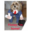 IMG_1405_2_preview, Honey, I'm home! t-shirts