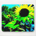 IMG_1741_sunflower mousepads
