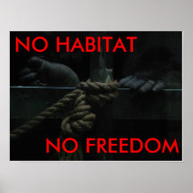 IMG_2056, NO HABITAT, NO FREEDOM POSTER