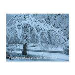 IMG_2425_2, A Sunday Morning Snowfall in Connec... Post Card