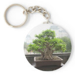 IMG_2887 keychains