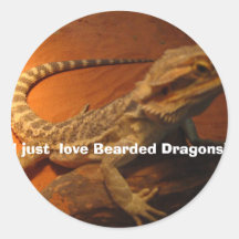 IMG_4705, I just  love Bearded Dragons! Stickers