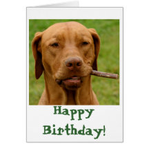 IMG_6106Fo'get About It!, Happy Birthday! Greeting Card