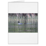 IMG_8448_1 CARD