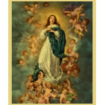 Immaculate Conception of Mary t-shirts