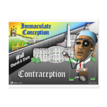Immaculate Conception Post Card