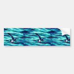 Immature California Gull Bumper Sticker