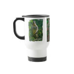Immature Red Tailed Hawk Coordinating Items Coffee Mugs