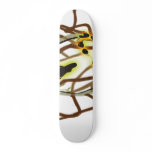 Immortal Jellyfish skateboards