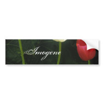 Imogene Bumper Stickers