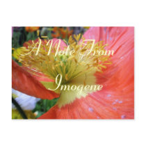 Imogene Postcards