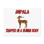 Impala trapped in a human body