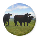 Impatience Fridge Magnet