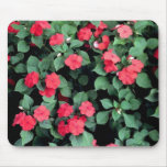 Impatiens Flowers mousepads