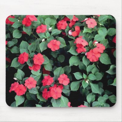 Impatiens Flowers Mouse Mat by pipedreams