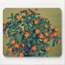Impatiens, Orange glow Pink flowers Mousepad