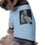 Imperial Roman women - statue pet clothing