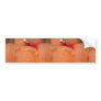 Imperial shrimp on the back of a giant nudibranch bumper stickers