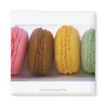 Imported gourmet French macarons (macaroons) Fridge Magnets