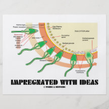 Impregnated With Ideas (Sperm Egg Fertilisation) Flyers