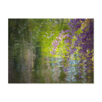Impressionist Cherry Blossoms Postcards