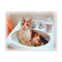Impressionist's Cat in a Sink Basin Postcard