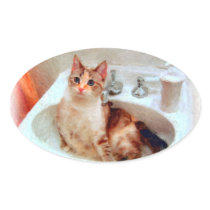 Impressionist's Cat in a Sink Basin Stickers/Seals