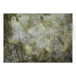 Impressions Thank You Note Card