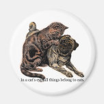 In a Cat's Eye Fridge Magnets