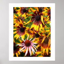 In A Field of Her Own Print